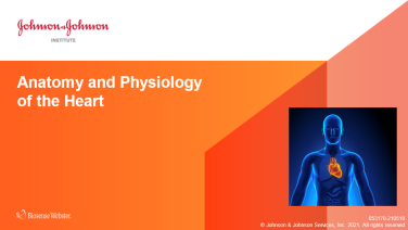 An image from the "Heart Anatomy & Physiology" on JnJInstitute.com website