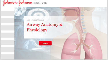 An image from the "Airway Anatomy & Physiology" on JnJInstitute.com website