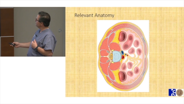 An Image From "Left Lateral Retroperitoneal Approach - Anatomy, OR Setup and Good Fluoro - Andrew Sama, MD"