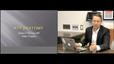 An Image From "Anatomy for Anterior to Psoas Approach to the Lumbar Spine - Joshua Herzog, MD"