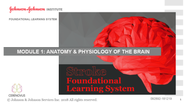 An image from the "Anatomy & Physiology of the Brain" on JnJInstitute.com website