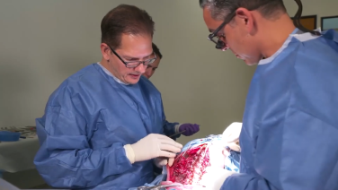 Positioning and Placement of Pedicle, Reduction and Lateral Mass Screws