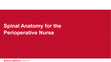 An image from the "Spinal Anatomy Perioperative Nurse" on JnJInstitute.com website