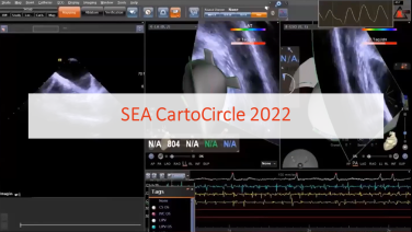thumb SEA CartoCircle 2022