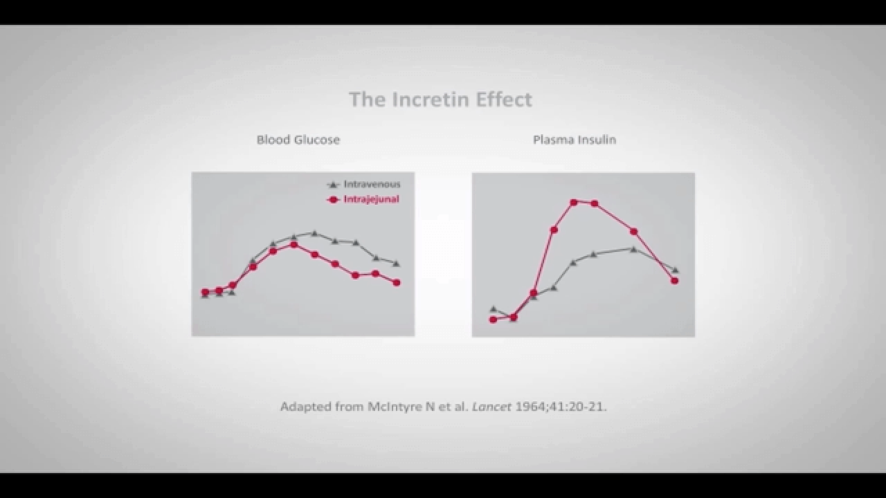 An Image From "The Incretin Effect with Randy Seeley, MD"