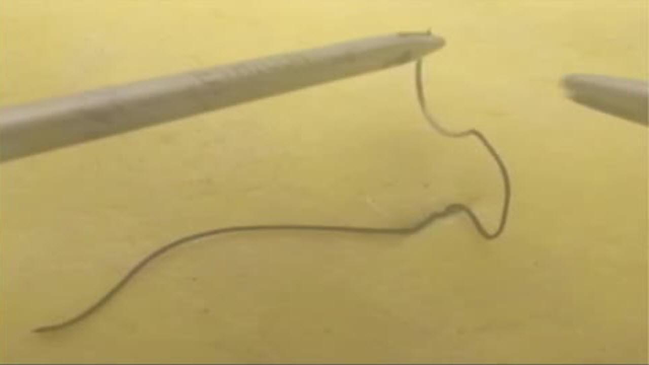 An image of the "Suturing Tips & Tricks: Managing Suture Tag Length with Russell Pruitt, MD" video.