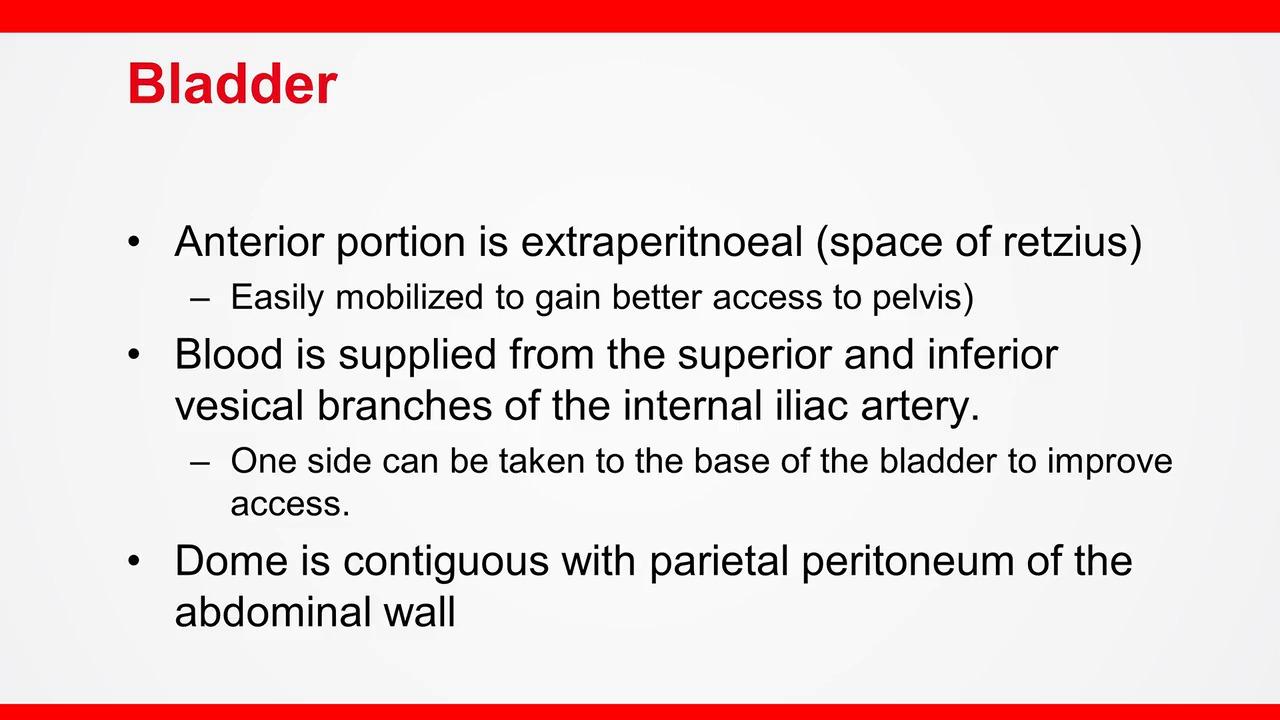 An image of the "Pelvic Anatomy with Bashar Safar, MD" video.