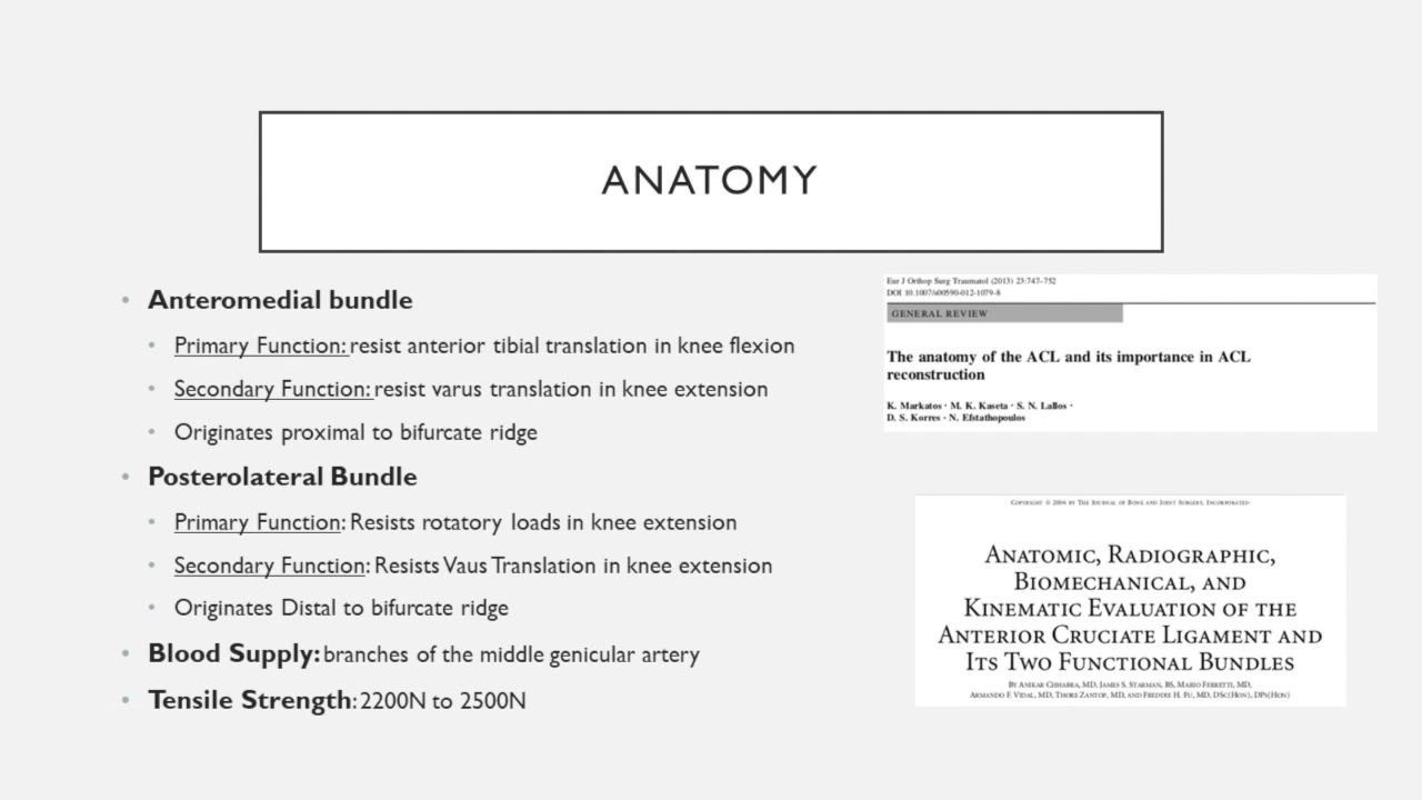 An image from the "ACL Reconstruction Training with Patella Tendon Autograft & MILAGRO Advanced Interference" video on the JnJInstitute.com website.