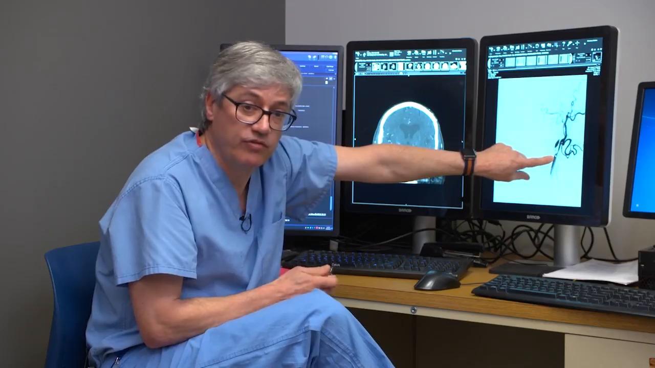 Dr. DeNardo explaining a case study while pointing to a screen