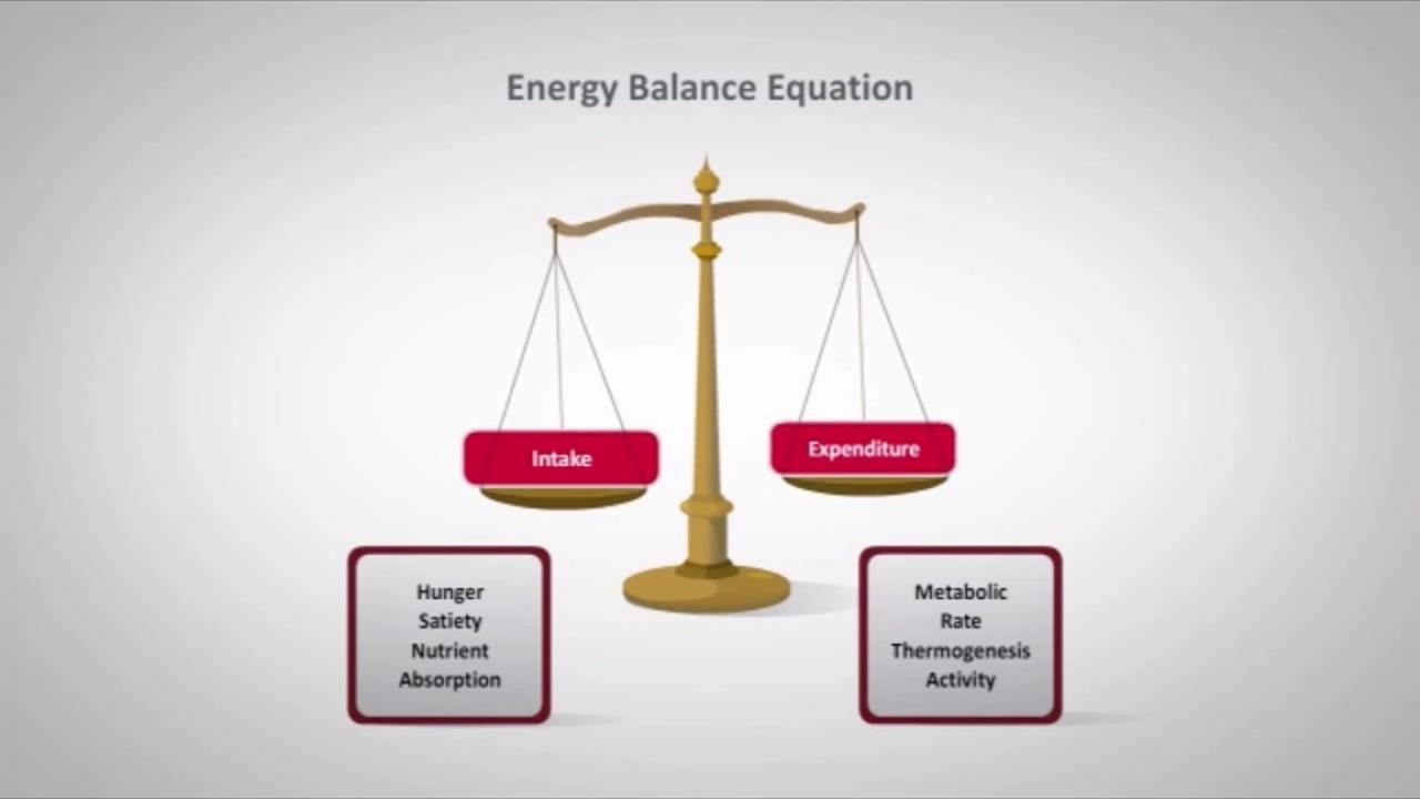 An image from the "Energy Balance Equation with Randy Seeley, MD" video from the JnJInstitute.com website.