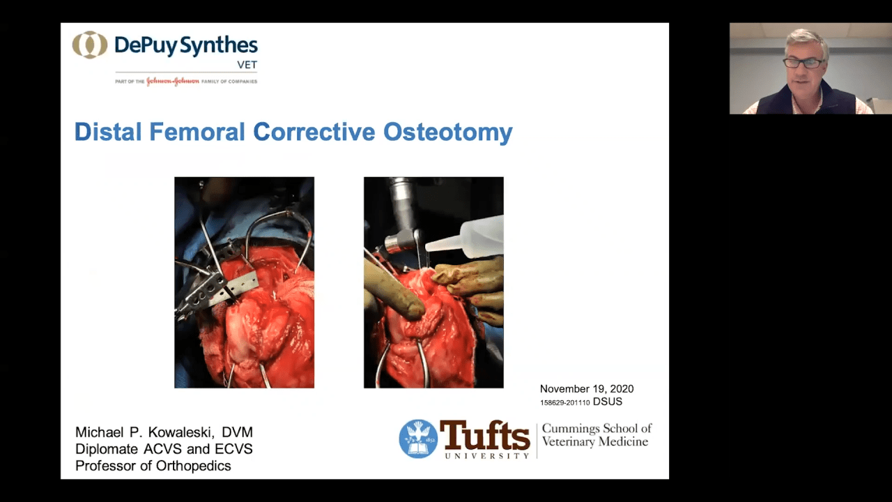 An image from the "Disal Femoral Corrective Osteotomy with Michael P. Kowaleski DVM, DACVS, DECVS" video on the JnJInstitute.com website.