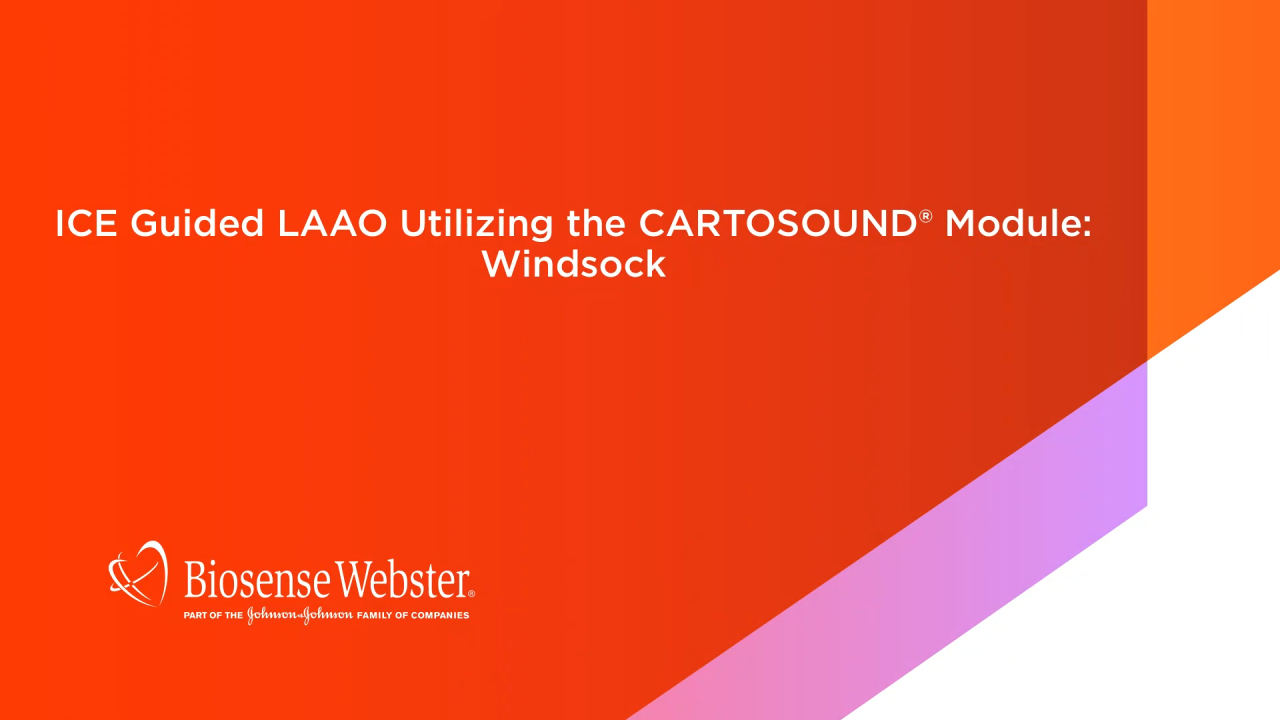 An Image From "ICE Guided LAAO Utilizing the CARTOSOUND Module: Windsock"