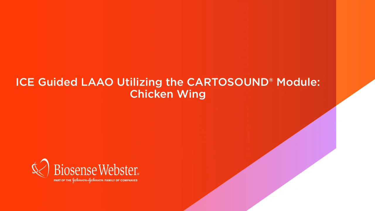 An Image From "ICE Guided LAAO Utilizing the CARTOSOUND Module: Chicken Wing"