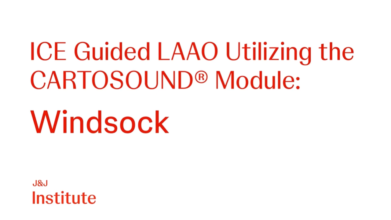 An Image From "ICE Guided LAAO Utilizing the CARTOSOUND Module: Windsock"