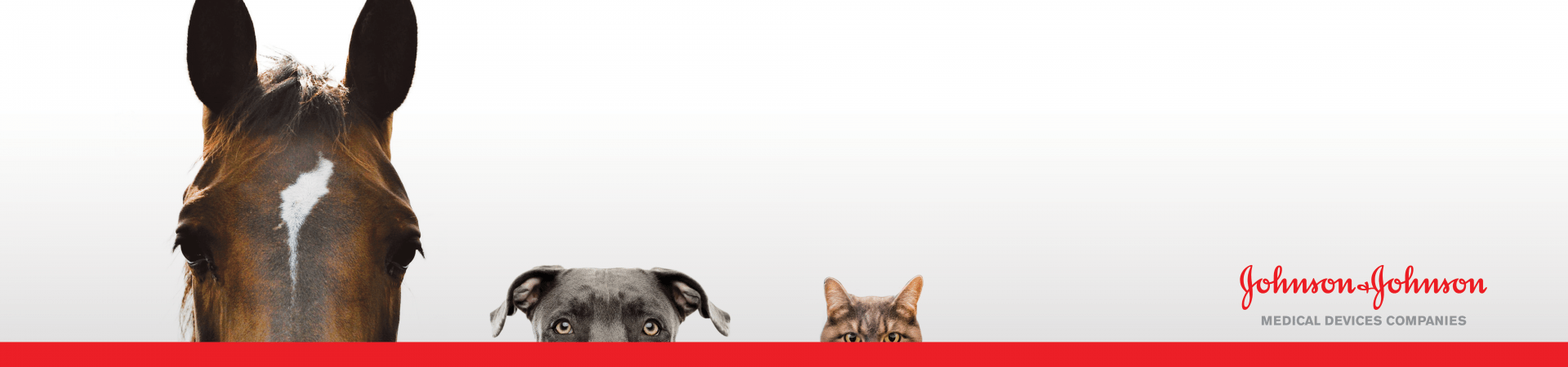 Explore the Animal Health Landing Page for the JnJInstitute.com Website.